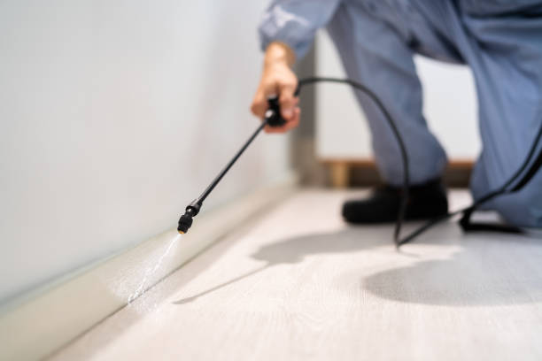Licensed Termite Control service in Independence, LA - Nex Pest Control