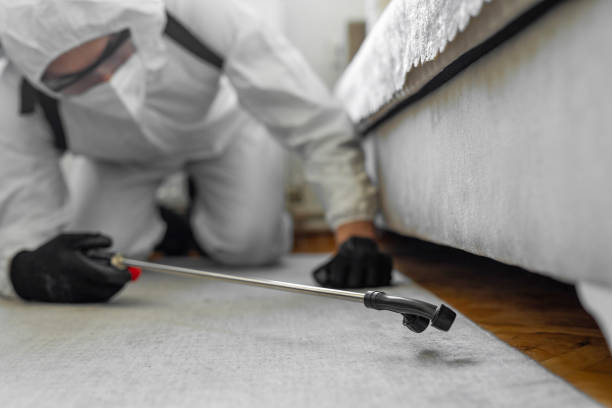 Professional Termite Control technician working in Independence, LA