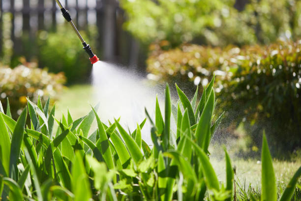 24/7 Emergency Termite Control experts in Independence, LA